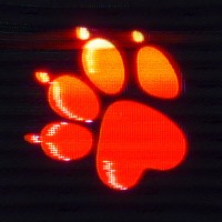 Naughty Dog logo