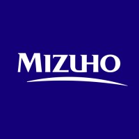 Assistant Vice President Information Technology