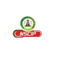 CONSULTANT/ WORKSTREAM LEAD