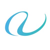 Consultor Senior