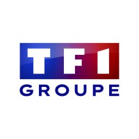 IT internal Audit for the main French TV channel