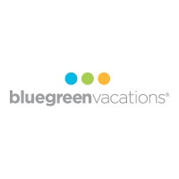 Sr. SEO Analyst