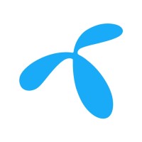 Sales Executive
