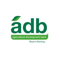 Research and Strategy Officer