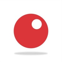 Software Developer
