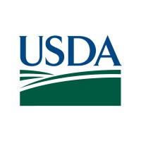 Senior Consultant