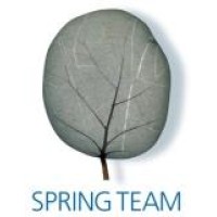 Logo Spring Team Cabinet