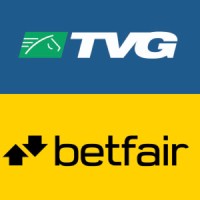 Web Developer