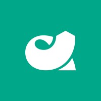 Software Developer
