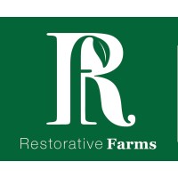 Strategic Planning Consultant