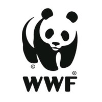 Consultora externa