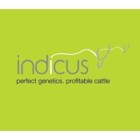 Head of Finance And Administration