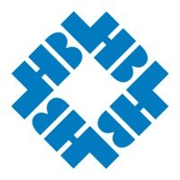 Senior Business Analyst & Developer