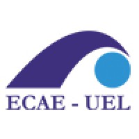 Assessor de gestão de projetos