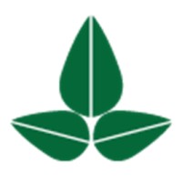 Market Research Analyst