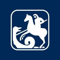 Insurance Agent
