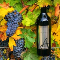 Alexandria Nicole Cellars logo