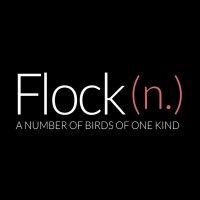 Flock DC logo