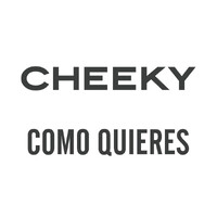 Analista Cuentas a Pagar
