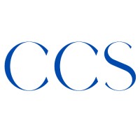 Web Developer Consultant
