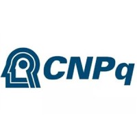 Innovation Developer
