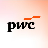 Director, State Authorized Public Accountant