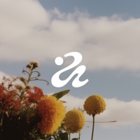 Isle of Any logo