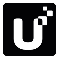 Global Sales Executive
