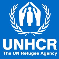 public health associate