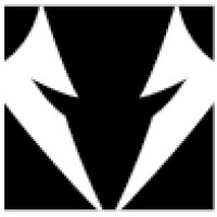 White Wolf Capital Group logo
