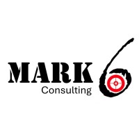 Principal - Program/Senior Project Manager