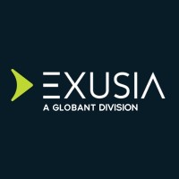 BI/DW Delivery Lead/Business Analyst