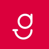 Vice Chief Information Officer