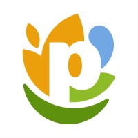 Gerente de projetos de infraestrutura